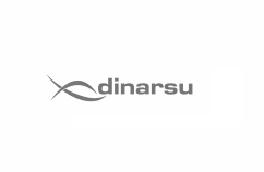 Dinarsu